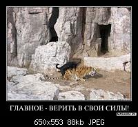 Нажмите на изображение для увеличения
Название: 1259365562_demotivatory003.jpg
Просмотров: 25
Размер:	88.0 Кб
ID:	14345